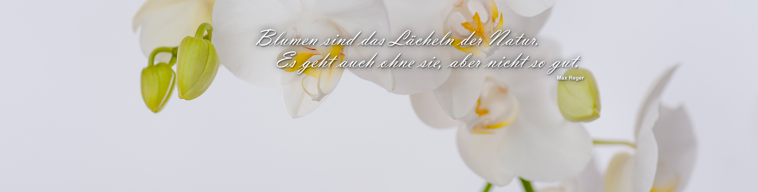 Floristik Impression 1